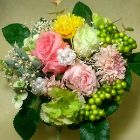 スプリングカラー